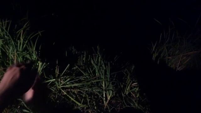 КАРП НА КРУЖКИ В АВГУСТЕ . смотреть онлайн