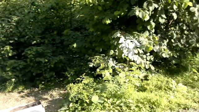 Настольный теннис смотреть онлайн