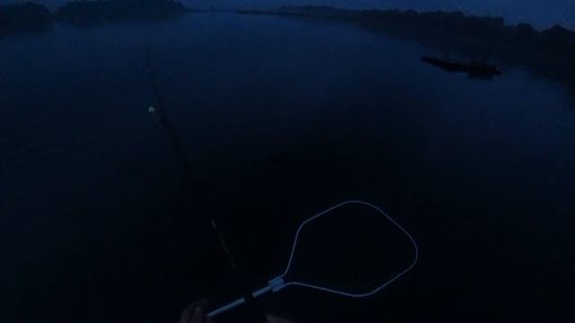 ОГРОМНЫЕ САЗАНЫ на Волосяной монтаж смотреть онлайн