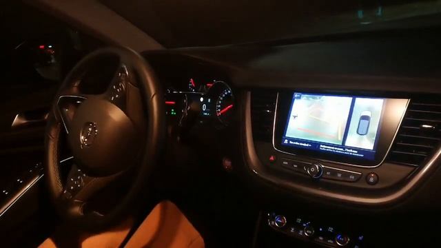 Opel Grandland X: Park Assist