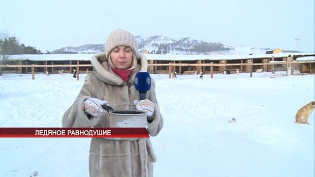 Ледяное равнодушие смотреть онлайн