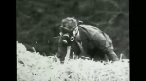 Кто такой Снорк