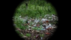 Проблемы экологии Земли