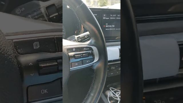 косяки Киа к5