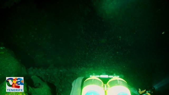 Погружение в пещеру Los Cerebros. Дайвинг на Тенерифе смотреть онлайн