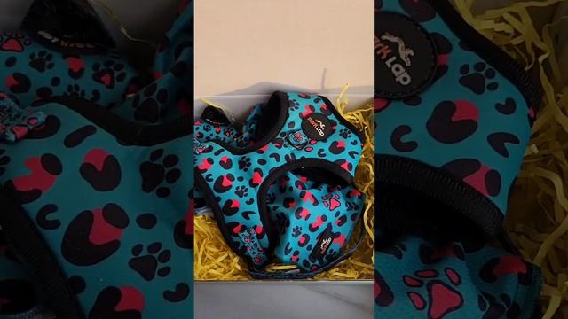 Подарочный набор ГринЛео