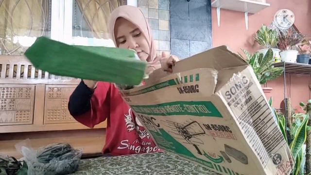 BELANJA TANAMAN HIAS ONLINE | BELI TANAMAN DARI GRUP FACEBOOK