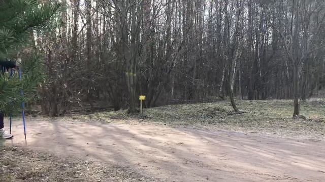 Мастер - класс по скандинавской ходьбе "Делай так! Не делай так!" Алёхина Е.Ю. (часть I) смотреть онлайн