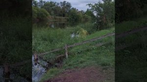 Нижнегнутов река Цимла.