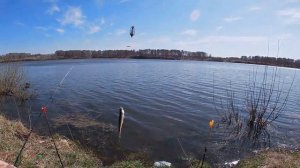 Рыбалка на карася. Кемеровская область. Чесноковка