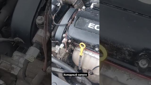 Холодный запуск мотора Chevrolet Cruze 1.8. В чем неисправность? смотреть онлайн