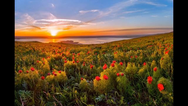 День России в библиотеке: мероприятия. Портрет моей страны смотреть онлайн