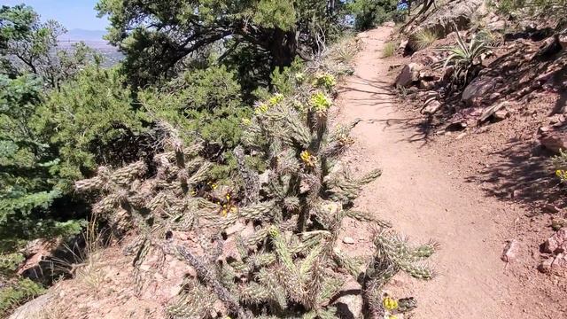 Подъем на гору Picacho возле Santa Fe, New Mexico смотреть онлайн