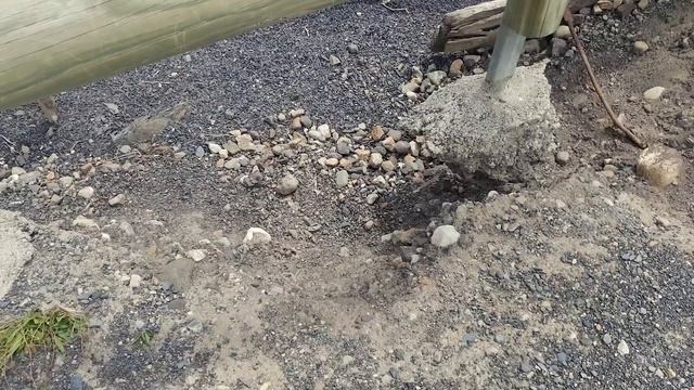 Лучшее лекарство от хандры. #20 смотреть онлайн