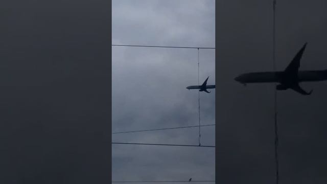 ЖД станция Лигово смотреть онлайн