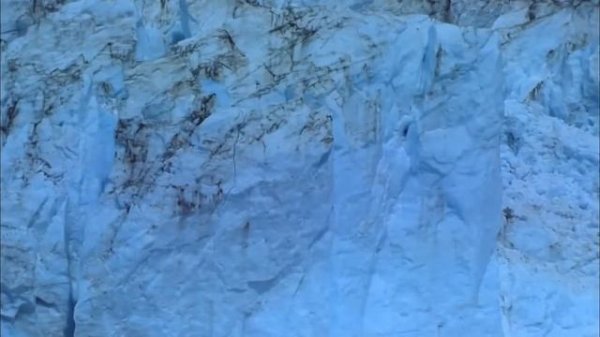 Красота вокруг нас