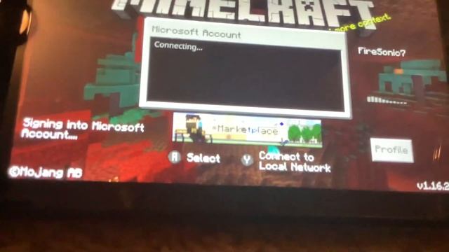 Stupid Nintendo Switch Minecraft Error Code: Creeper, Any Help?