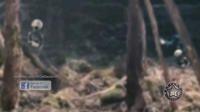 Контролёры массового сна (6) смотреть онлайн