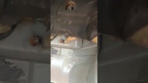 Жесть-сюрприз. Разборка салона Renault Scenic 3. Часть1