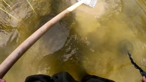 Обнаружил ЛЫЖНИКА под водой! Металлоискатель Gold Hunter B75 Frogman