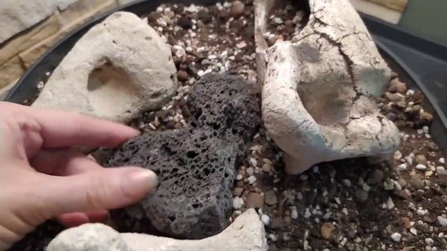 Каменистый садик в миниатюре. смотреть онлайн