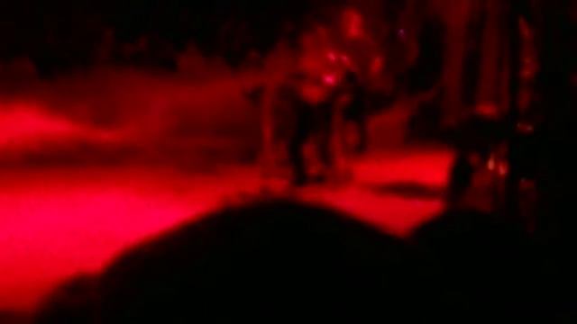 Цирк-шапито "Империя Хищников" смотреть онлайн