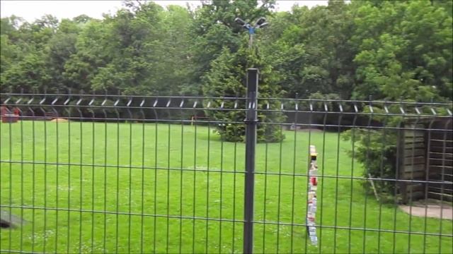 Спортивная площадка для собак. Жизнь в Германии. смотреть онлайн