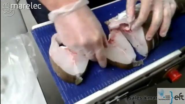 Автоматическая машина нарезки рыбы с фиксированным весом Marelec.mp4 смотреть онлайн