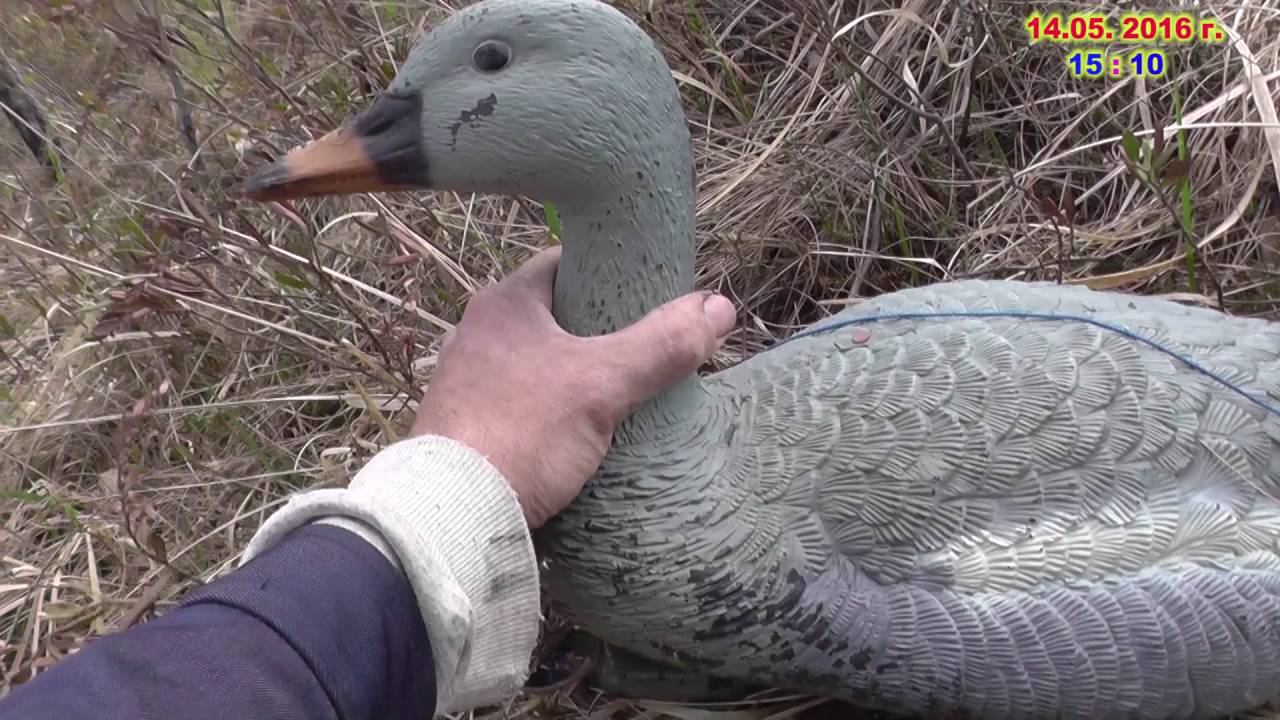 Подсадная утка (Кинобрак №6) смотреть онлайн