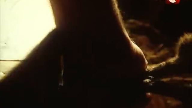 Цікава історія. Таємниці долини Царів смотреть онлайн