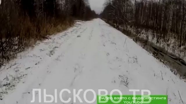 2017 01 14 Незаконная добыча лосей смотреть онлайн