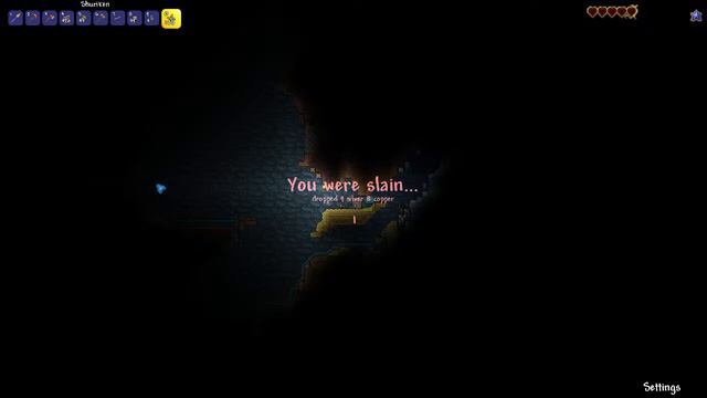 Atualy Original Terraria With Flare