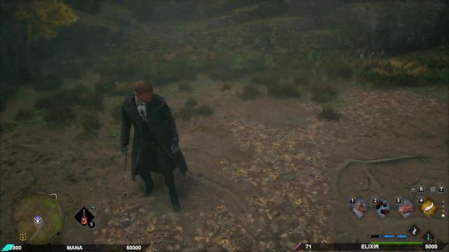 Hogwarts Legacy идем по сюжету. 23.02.23 (12) смотреть онлайн