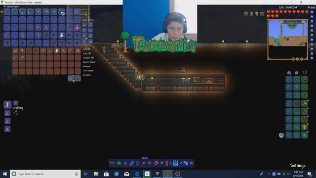 DeadlyD's modded Terraria #3: So many Bosses смотреть онлайн