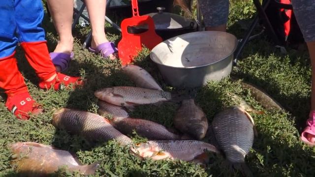 Отдых на Дону. Рыбалка. Меловые пещеры. смотреть онлайн