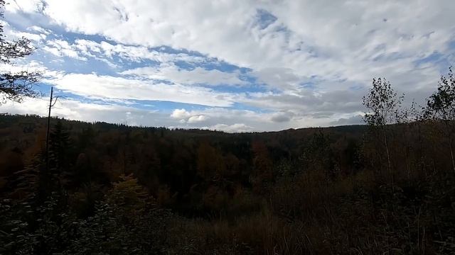 Похід по Білі Гриби в Карпати смотреть онлайн