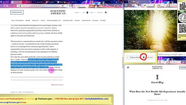 Mirror World does not exist unless you "Observe it" #TheTinFoilISREAL смотреть онлайн