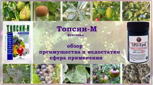 Обзор на препарат Топсин-М