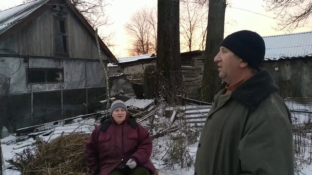 Теперь всё на своих местах//Перевезли солому//Прогулка телушек. смотреть онлайн