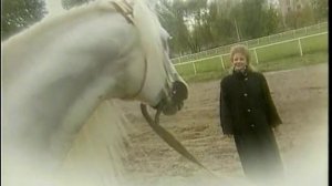 Зухра Шарифуллина - Озак торды атым чапмады