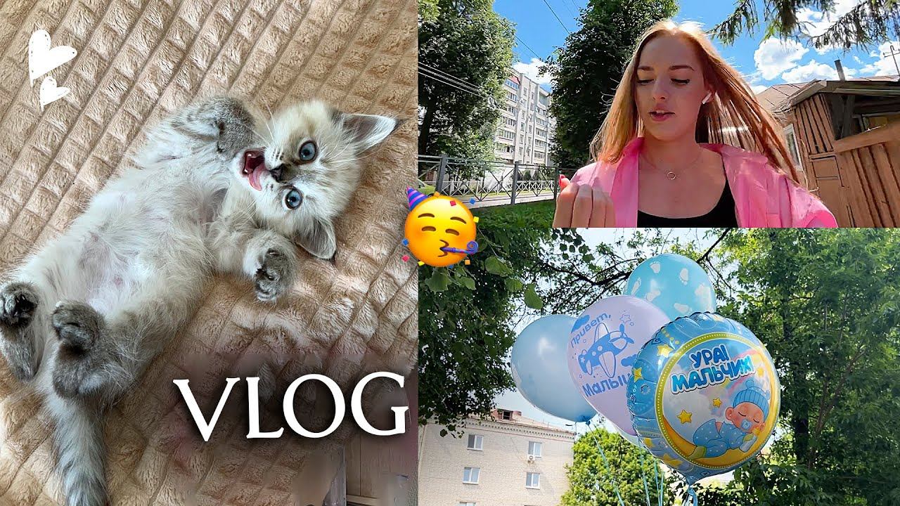 ВЛОГ: Мы ЗАВЕЛИ КОТЕНКА Встречаем подругу из РОДДОМА смотреть онлайн