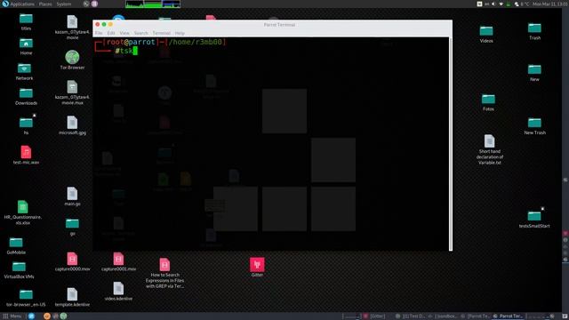 How To Use TestDisk To Recover Files on Parrot Security Linux смотреть онлайн