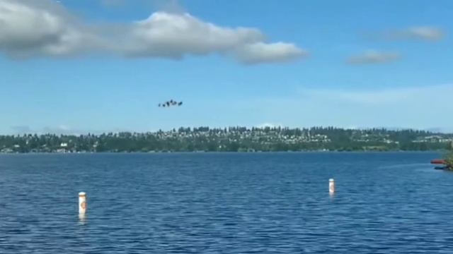 Топ 5 долговязая лошадь снятая на камеру смотреть онлайн