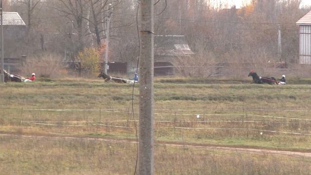 1 Раменский ипподром 23.10.2021 - Лошади рожд. 2019г. орловской рысистой породы смотреть онлайн