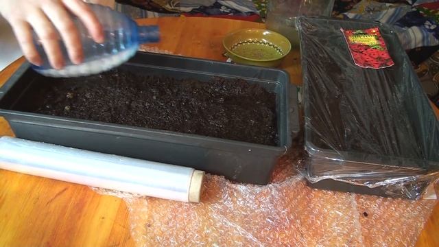 ПОСЕВ ВИОЛЫ анютины глазки смотреть онлайн