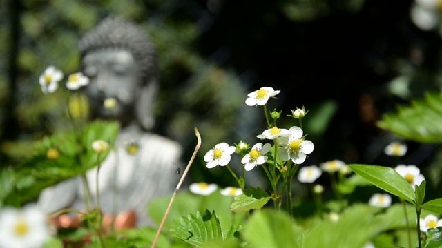 ☯️ МЕДИТАЦИЯ КУНДАЛИНИ | Вы Откроете Новый Мир Энергии | Исцеление Души и Спокойствия смотреть онлайн