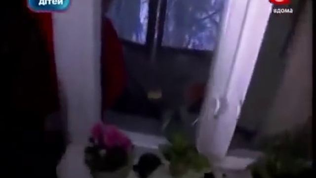 Саша Фокин Часть 1 смотреть онлайн