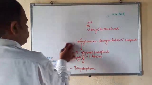 Tryptophan Operon смотреть онлайн