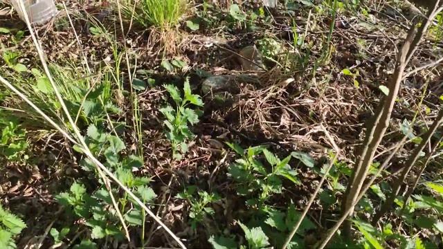 Рыбалка Шатура смотреть онлайн