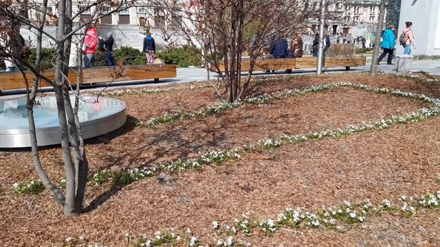 Москва. Парк Зарядье. Проект "Волны цветения". Первоцветы. Ландшафтная зона Луг. Май 2022 года. смотреть онлайн